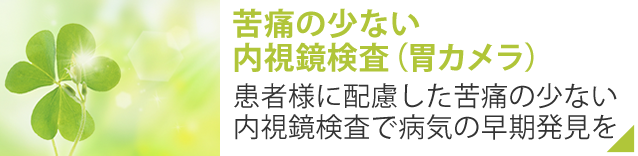 苦痛の少ない内視鏡検査(胃カメラ)