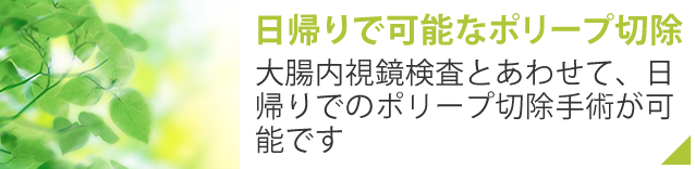 日帰りで可能なポリープ切除