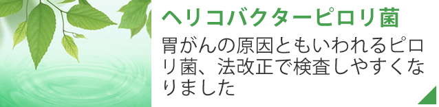 ヘリコバクターピロリ菌